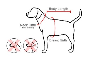 measurement_chart.jpg measurement_chart.jpg