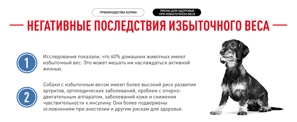 негативные последствия избыточного веса негативные последствия избыточного веса