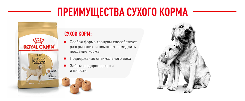 Преимущества сухого корма Преимущества сухого корма