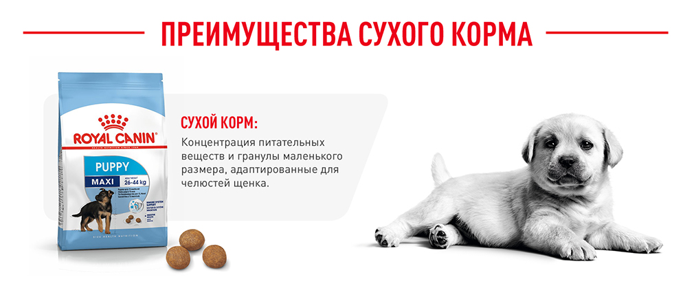 преимущества сухого корма Royal Canin преимущества сухого корма Royal Canin