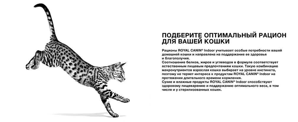 оптимальный рацион для домашних кошек оптимальный рацион для домашних кошек