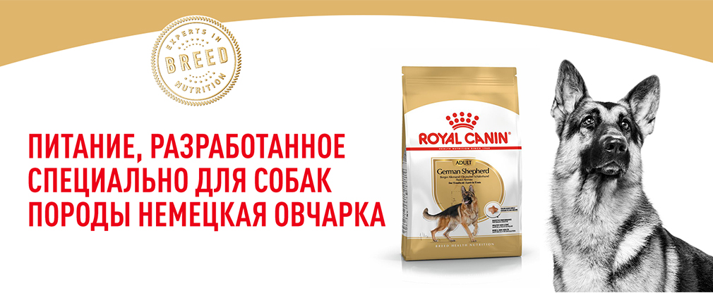 Royal Canin German