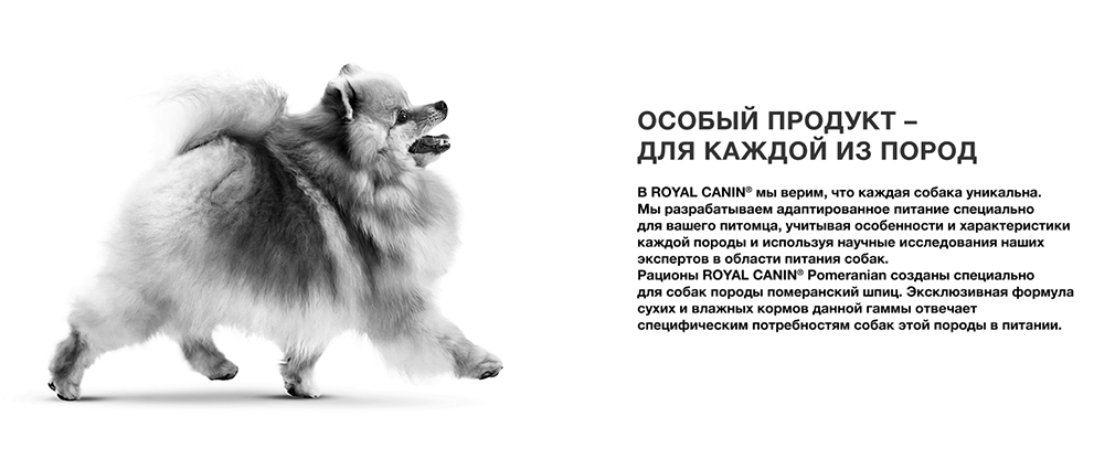 особый корм Royal Canin для каждой породы особый корм Royal Canin для каждой породы