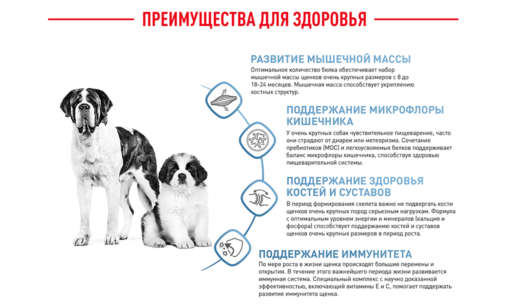 Преимущества для здоровья Преимущества для здоровья