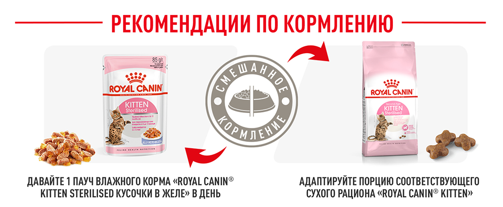 рекомендации по кормлению рекомендации по кормлению