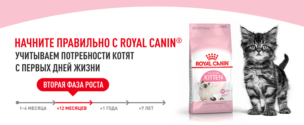Начните правильно с Royal Canin Начните правильно с Royal Canin