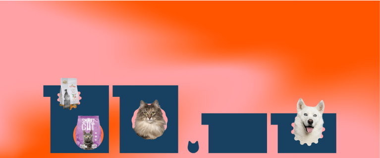 Petshop Ru Интернет Магазин Казань Petshop Ru Интернет Магазин Казань