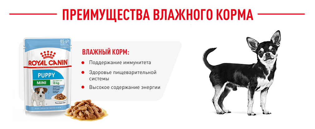 преимущества влажного корма Royal Canin преимущества влажного корма Royal Canin