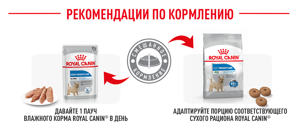 рекомендации по кормлению рекомендации по кормлению