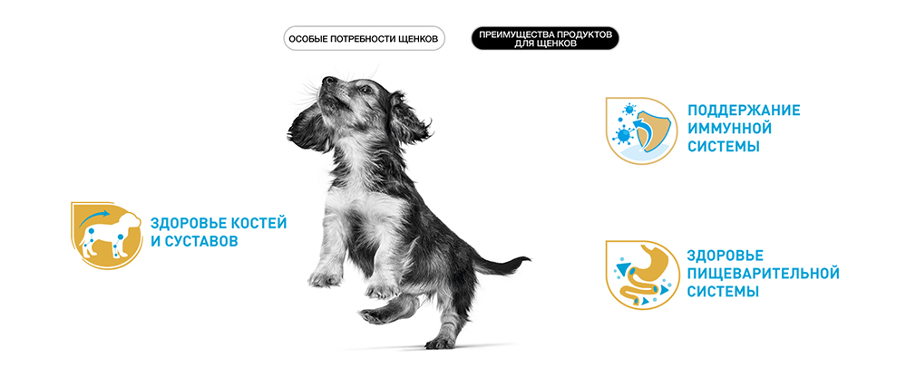 Преимущества рационов Royal Canin Преимущества рационов Royal Canin
