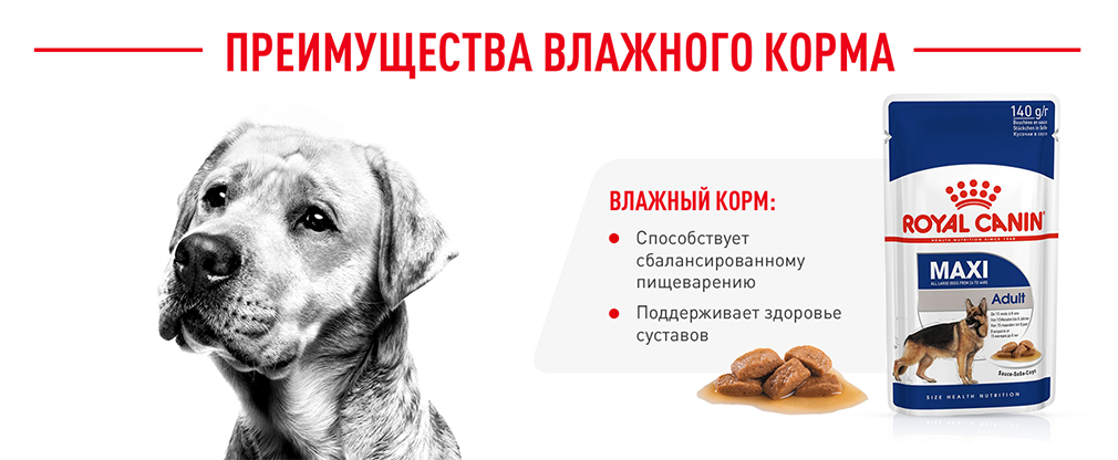 Преимущества влажного корма Преимущества влажного корма