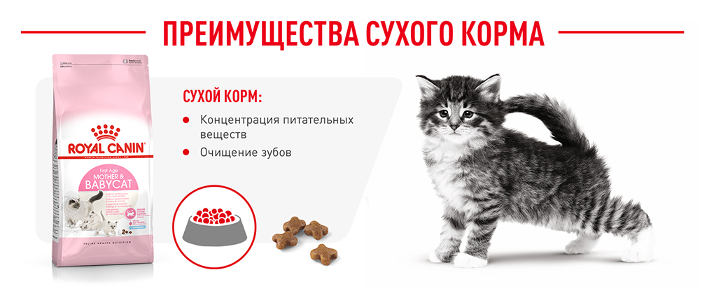 Преимущества сухого корма Преимущества сухого корма