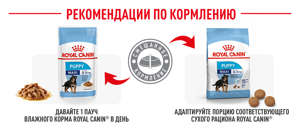рекомендации по кормлению рекомендации по кормлению