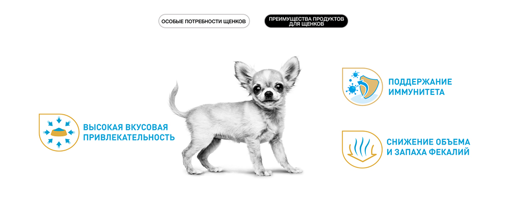 преимущества корма Royal Canin для щенков преимущества корма Royal Canin для щенков