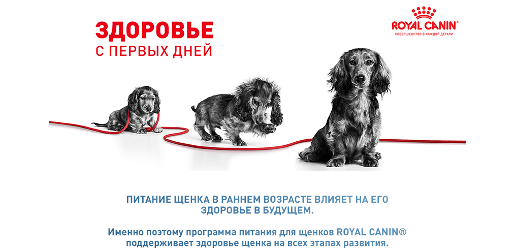 Здоровье с первых дней Здоровье с первых дней