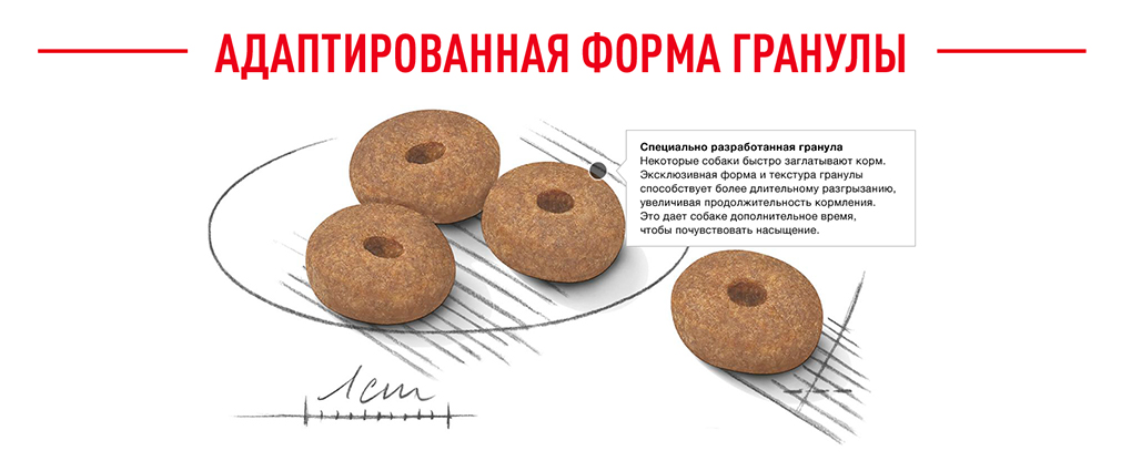 адаптированная форма гранул адаптированная форма гранул