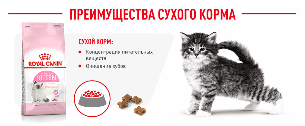 Преимущества сухого корма Преимущества сухого корма