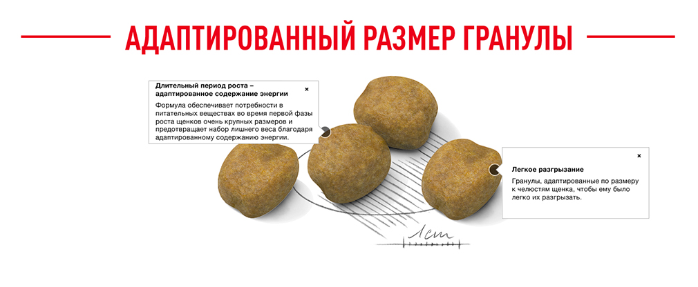 Адаптированный размер гранул Адаптированный размер гранул
