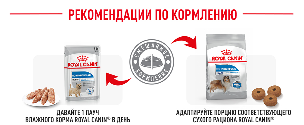 рекомендации по кормлению рекомендации по кормлению