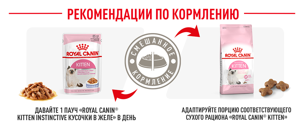 рекомендации по кормлению рекомендации по кормлению