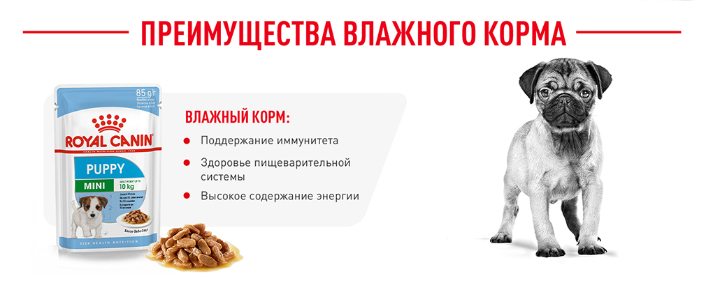 преимущества влажного корма Royal Canin преимущества влажного корма Royal Canin