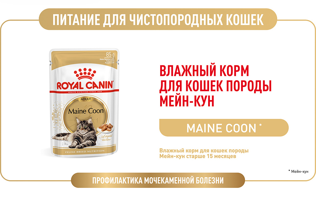 Корм Для Кошек Мейн Кун Купить