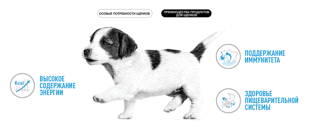 преимущества сухого корма Royal Canin преимущества сухого корма Royal Canin
