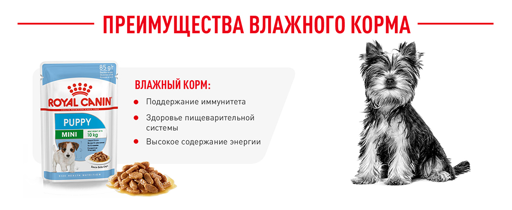 преимущества влажного корма Royal Canin преимущества влажного корма Royal Canin