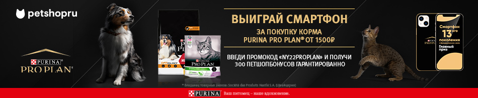 Петшоп Рязань Интернет Магазин Петшоп Рязань Интернет Магазин