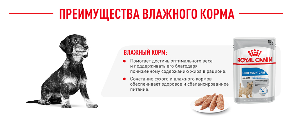преимущества влажного корма Royal Canin преимущества влажного корма Royal Canin