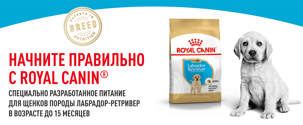 Начните правильно с Royal Canin Начните правильно с Royal Canin
