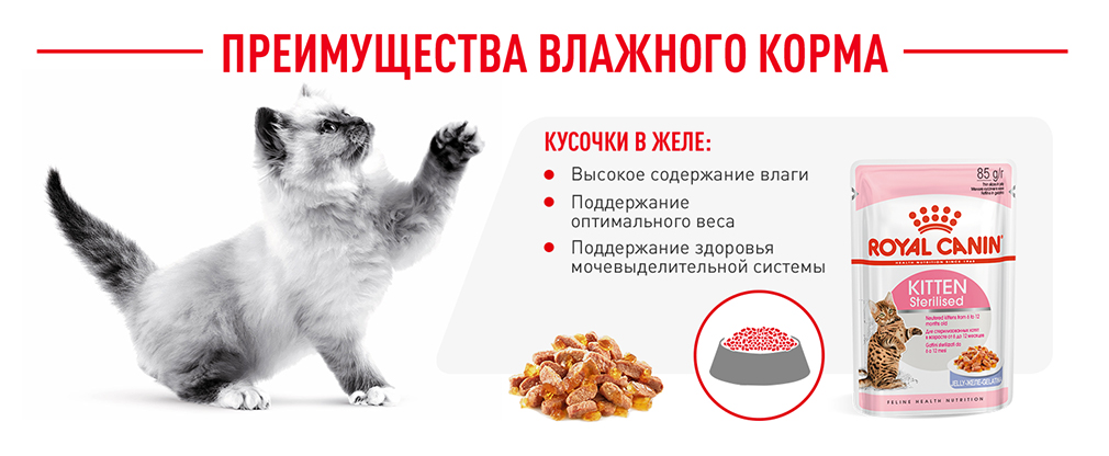 преимущества влажного корма Royal Canin преимущества влажного корма Royal Canin
