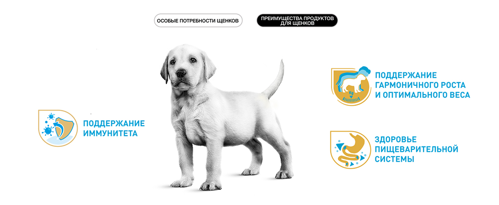 преимущества корма Royal Canin для щенков преимущества корма Royal Canin для щенков