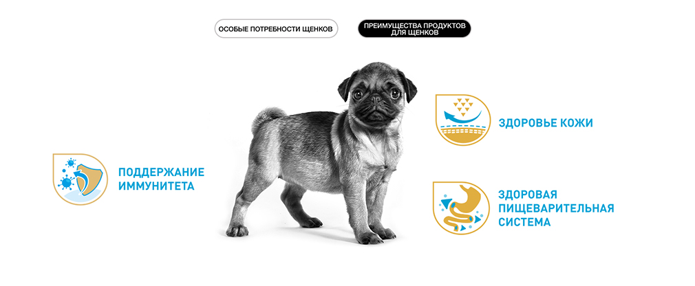 преимущества корма Royal Canin для щенков преимущества корма Royal Canin для щенков