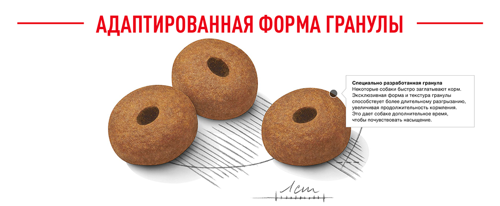 адаптированная форма гранул адаптированная форма гранул