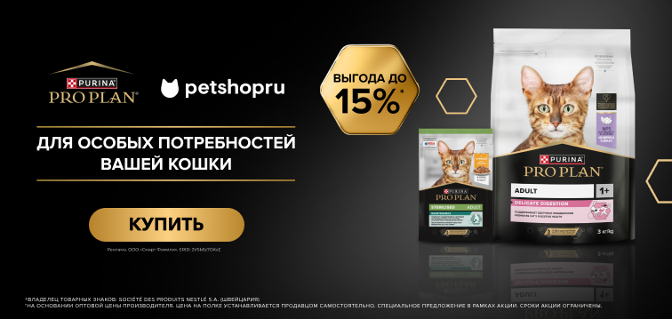 Как сделать продвижение сайтов самостоятельно: основы SEO за 28 минут для начинающих