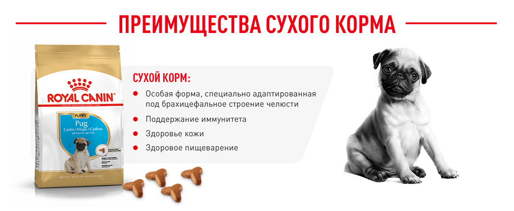 преимущества сухого корма Royal Canin преимущества сухого корма Royal Canin