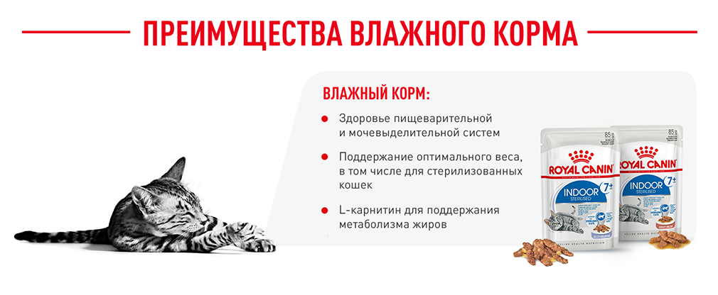 преимущества влажного корма Royal Canin преимущества влажного корма Royal Canin