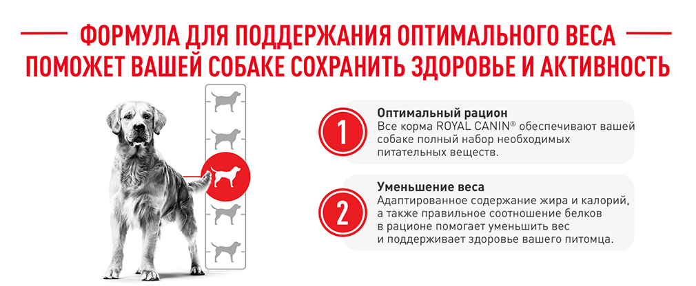 формула поддержания оптимального веса формула поддержания оптимального веса