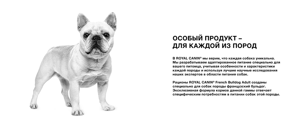 особый корм Royal Canin для каждой породы особый корм Royal Canin для каждой породы