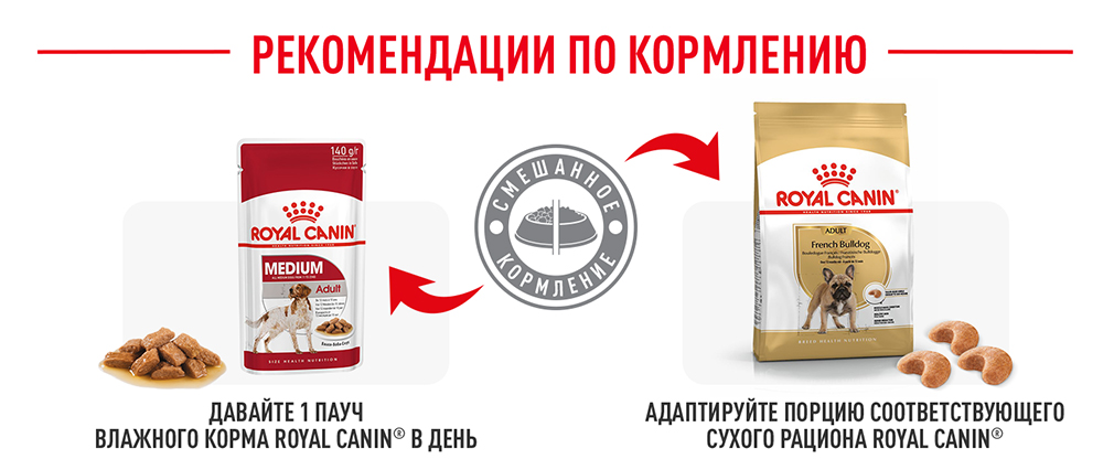 рекомендации по кормлению рекомендации по кормлению