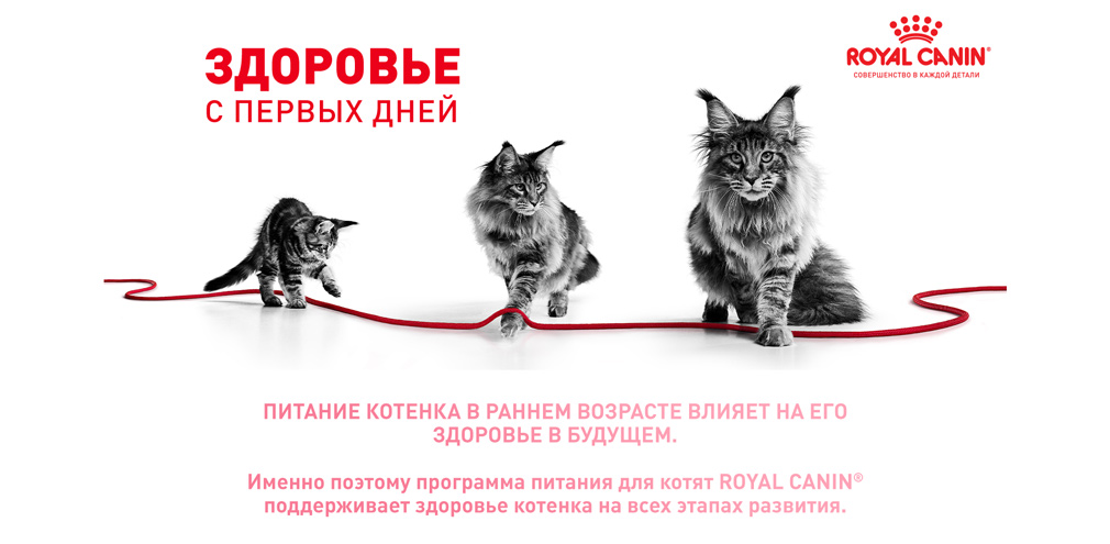 Здоровье с первых дней Здоровье с первых дней