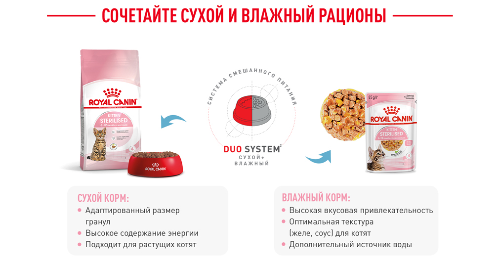 Сочетайте сухой и влажный рационы Сочетайте сухой и влажный рационы