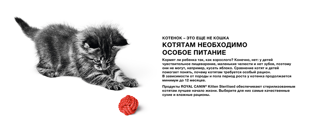 Royal Canin Kitten разработан специально для котят Royal Canin Kitten разработан специально для котят
