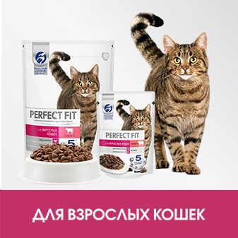 https://www.petshop.ru/brand/perfect_fit/cats/#p608=174,173 