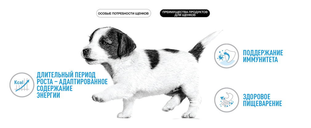 преимущества корма Royal Canin для щенков преимущества корма Royal Canin для щенков