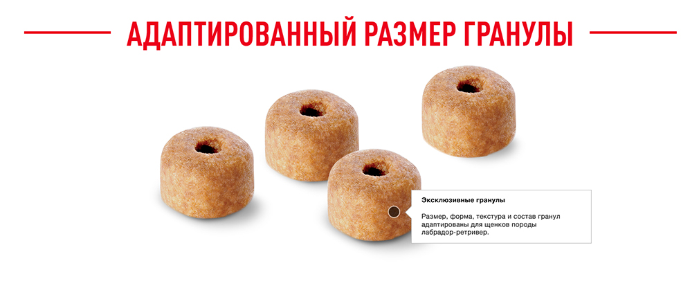 Адаптированный размер гранул Адаптированный размер гранул