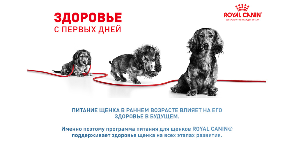 Здоровье с первых дней Здоровье с первых дней