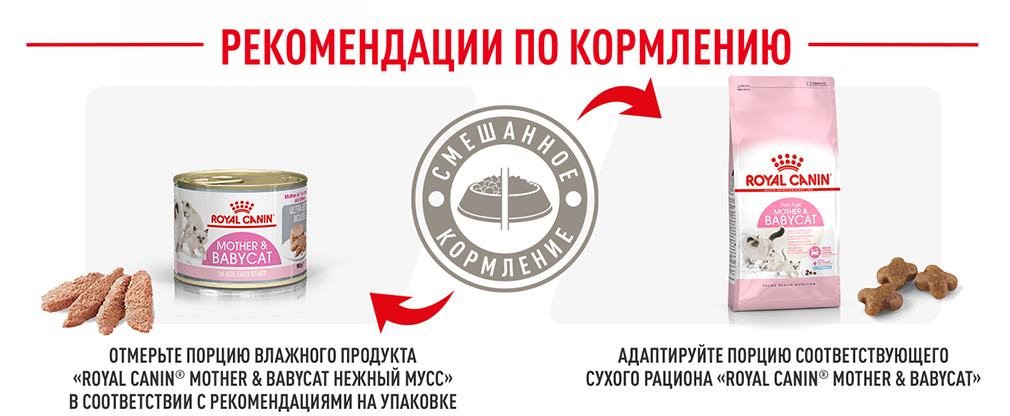 Рекомендации по кормлению Рекомендации по кормлению