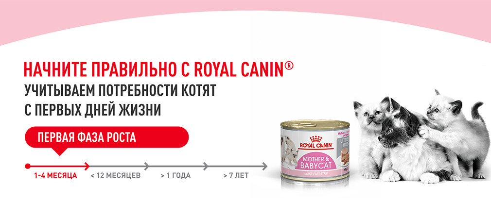начините правильно с Royal Canin начините правильно с Royal Canin